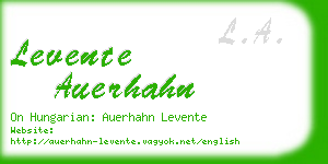 levente auerhahn business card
